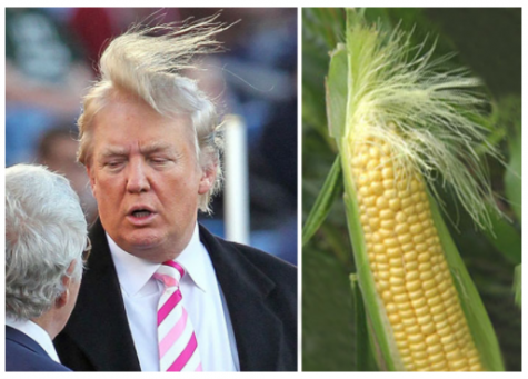 Corny Trump Confirmed