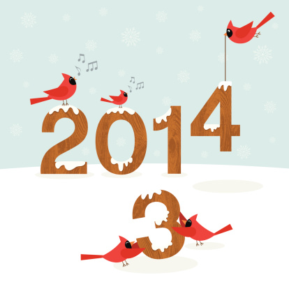 ABOVE: Welcoming the 2014 new year.