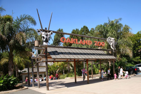DHS CSF volunteers at zoo