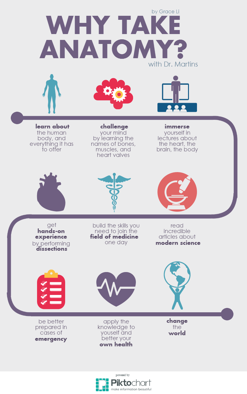 Why Take Anatomy? – The Dublin Shield