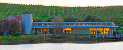 DHS Summer Fun! I Visited Napa Valley’s di Rosa Museum