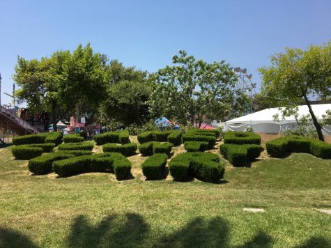 DHS Summer Fun! I Volunteered at the Alameda County Fair