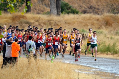 Fall Sports Have A Successful Season