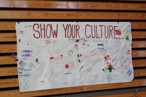 A Recap on Dubversity Week and Why We Needed It