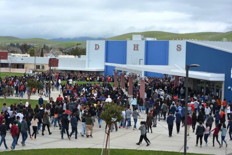 DHS Students and Staff Opinions on Gun Regulation and School Safety