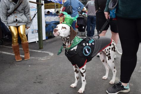 St. Patrick’s Day: A Celebration of Our City’s Cultural Heritage