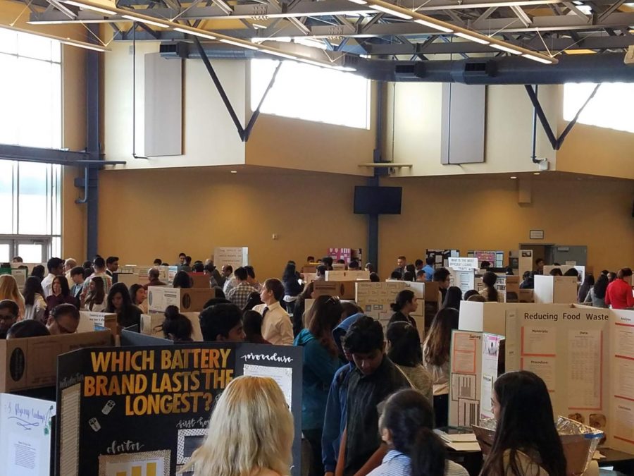 2nd Annual DHS Science and Engineering Fair included over 250 different projects displayed in two different sessions.