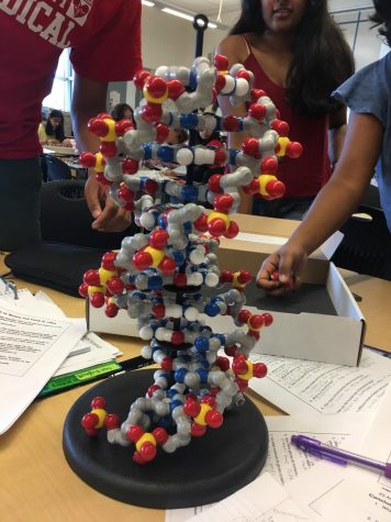 Biomedical Academy Provides Opportunities for Students Interested in Science