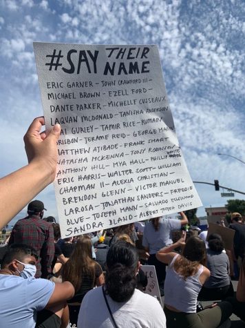 Protestors created signs that recognized the victims of police brutality.