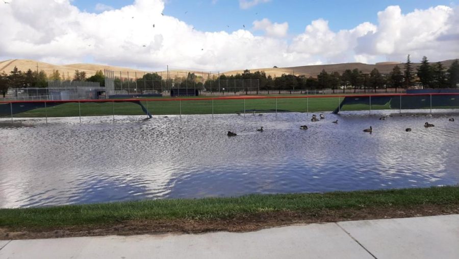 Huge amounts of rainfall accumulate in DHS baseball field on Monday after the storm. (Photo by Alex Dion)
