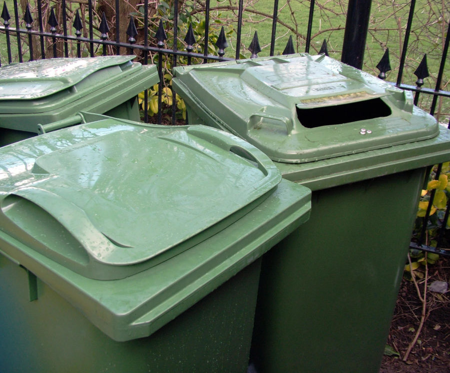 Compost will be sorted into green bins provided by the AVI starting January 1, 2022. 