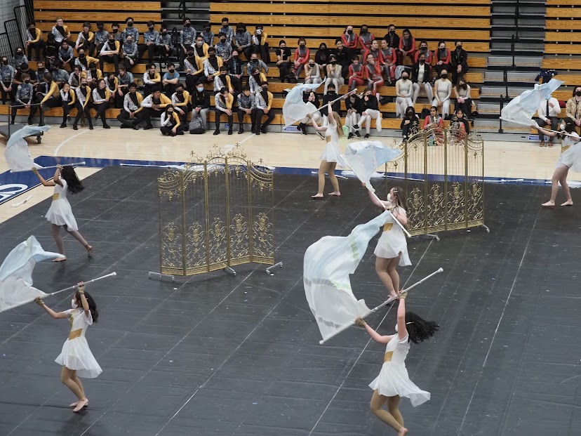 Members of the DHS Varsity Winter Guard spinning their flags during their performance, “In Another Life.” Photo courtesy of Vikram Kalyanraman.