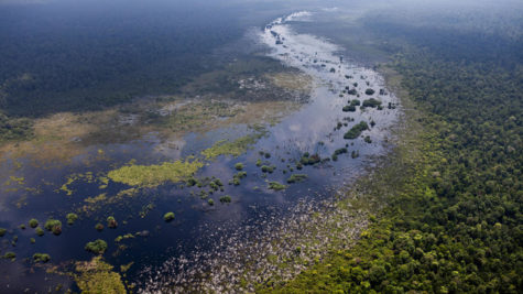 The peatlands in the Congo Basin in west-central Africa