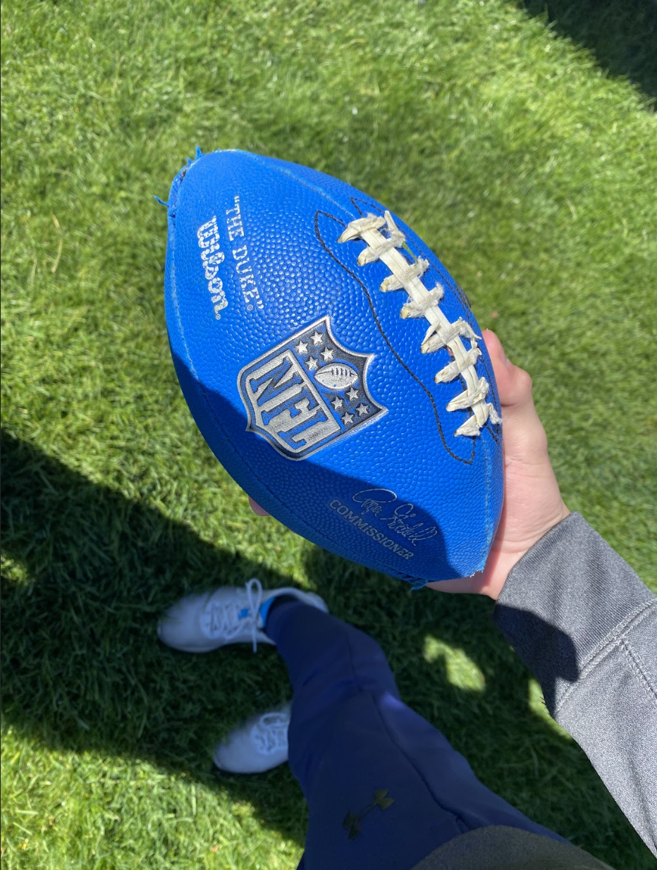 Wilson NFL Replica The Duke Mini Football