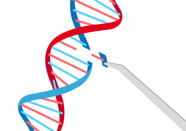 CRISPR-Cas9, a cutting-edge technology for editing genes