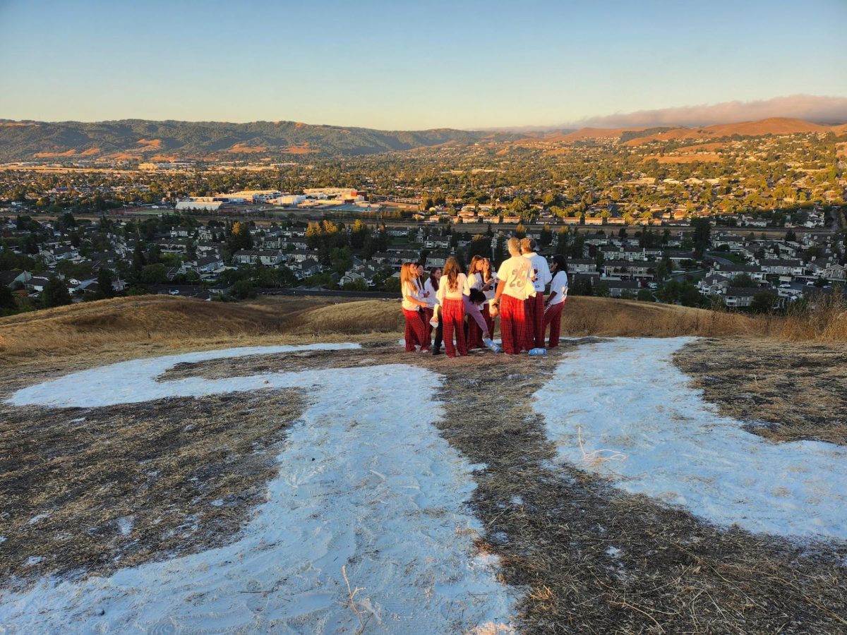 Senior students chat while standing on the “number” written with flour on number hill, indicating the year of the graduating class-- 2025. The DHS campus and surrounding neighborhoods can be seen in the background. Photo by Greeshma Adiga.